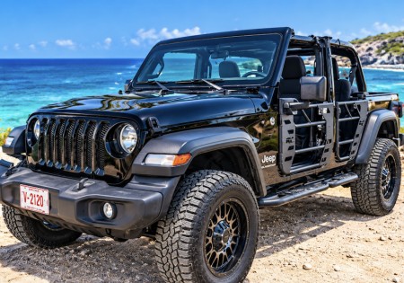 JEEP WRANGLER SPECIAL EDITION